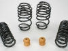 EibachSRT8Springs_3.jpg