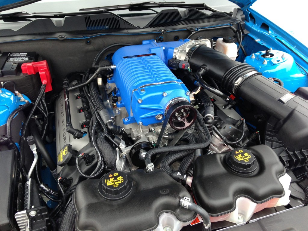 blue whipple supercharger