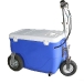 Cruizin Cooler
