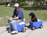Taking the Dog For a Ride in the Cruizin Cooler